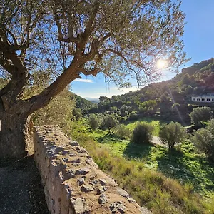 Country house Sec, Alaro